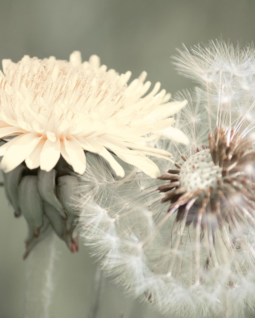Rhythms of Change